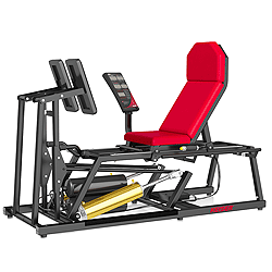 A300 Leg Press